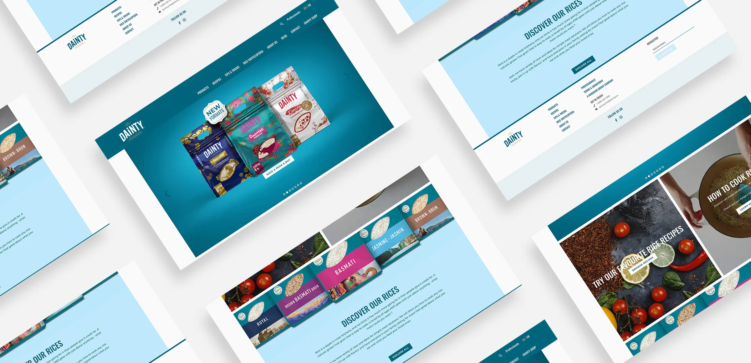 Dainty website pages: product carousel, rice range, recipes and footer